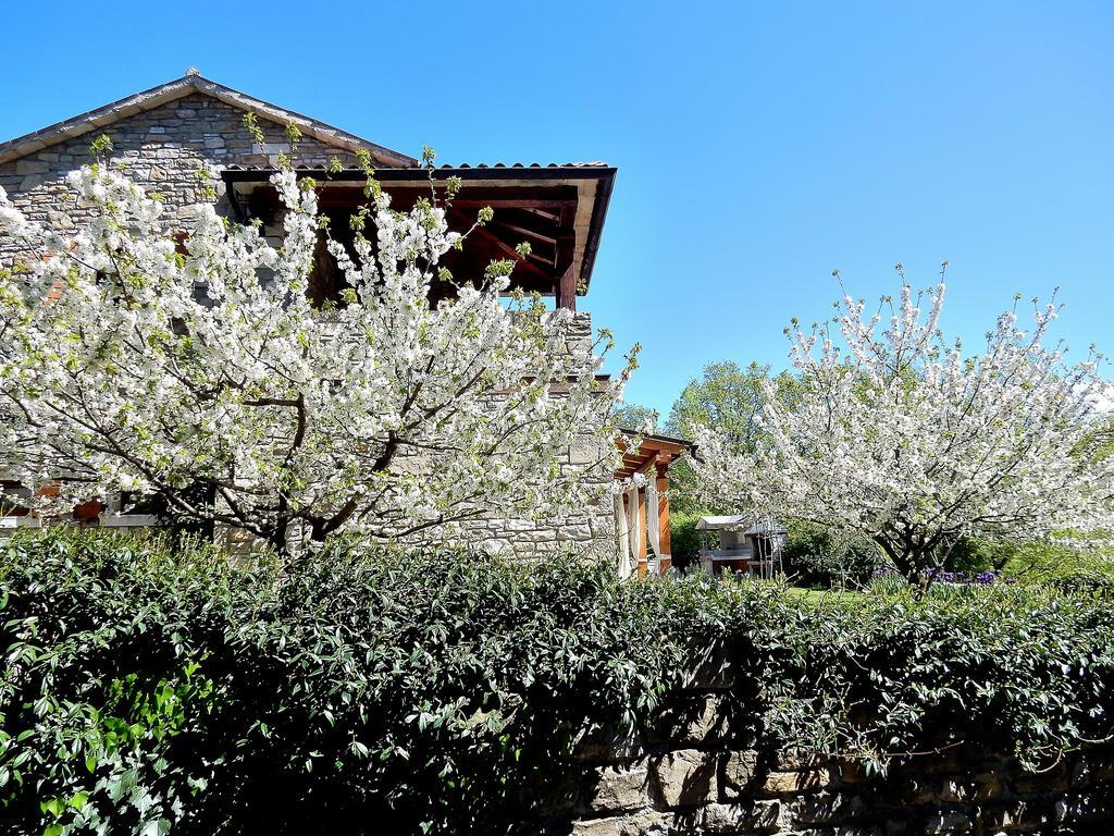 Holiday Home Casa Dei Farfui Momjan Ngoại thất bức ảnh